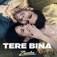 Tere Bina Pop Mix Soundtrack